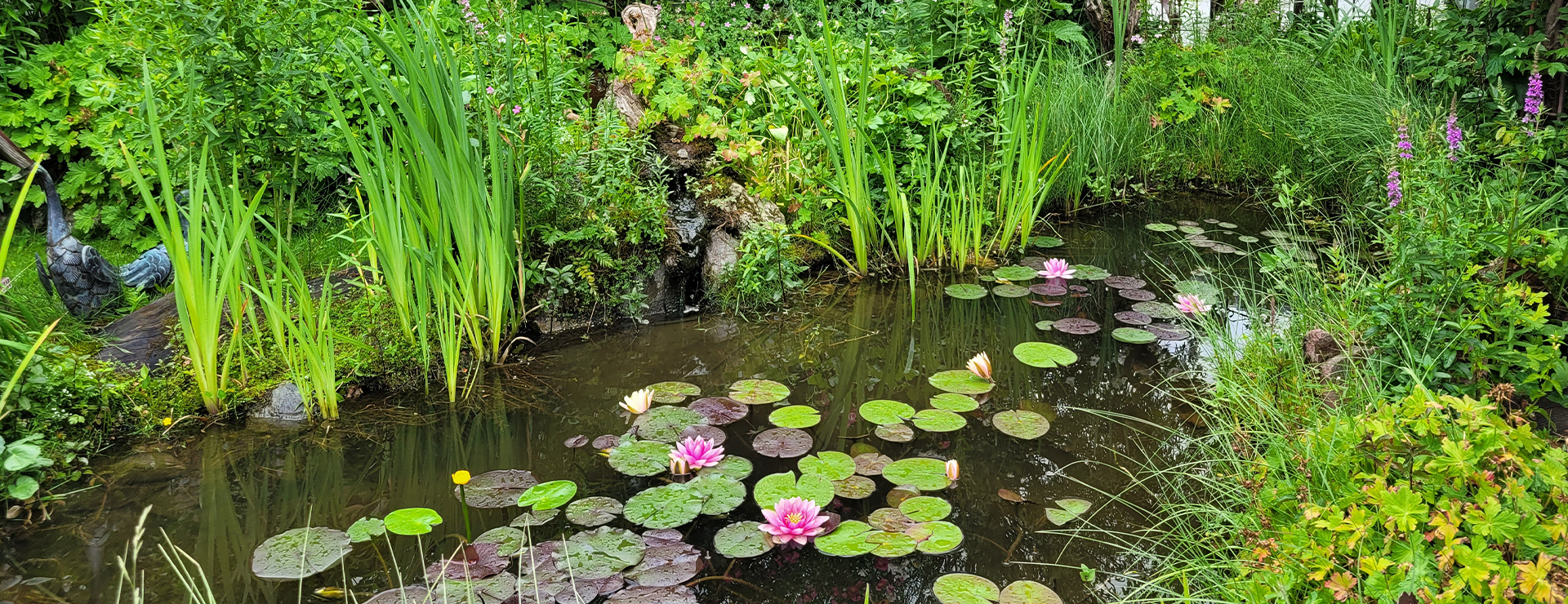 Kreativ Laden Garten